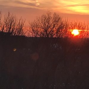 Meet your Posher, Cheyanne